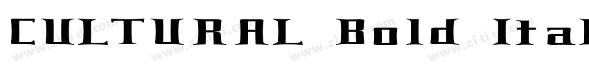 CULTURAL Bold Italic字体转换